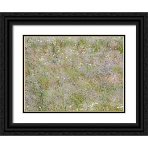 USA-Washington State-Benge Dried grass seed heads Black Ornate Wood Framed Art Print with Double Matting by Gulin, Sylvia