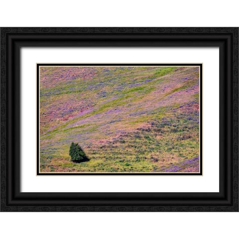USA-Washington State-Palouse with hillside of vetch Black Ornate Wood Framed Art Print with Double Matting by Gulin, Sylvia