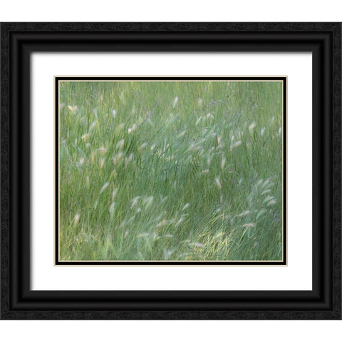 USA-Washington State-Palouse with hillside planted in grass Black Ornate Wood Framed Art Print with Double Matting by Gulin, Sylvia