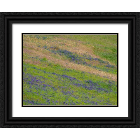 USA-Washington State-Palouse with hillside of vetch Black Ornate Wood Framed Art Print with Double Matting by Gulin, Sylvia