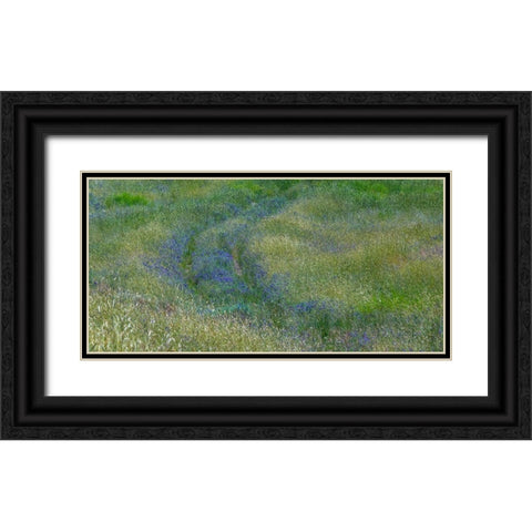 USA-Washington State-Benge Purple vetch in field Black Ornate Wood Framed Art Print with Double Matting by Gulin, Sylvia