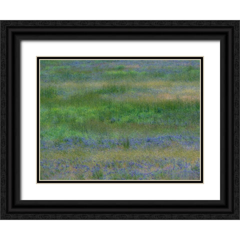 USA-Washington State-Benge Purple vetch in field Black Ornate Wood Framed Art Print with Double Matting by Gulin, Sylvia