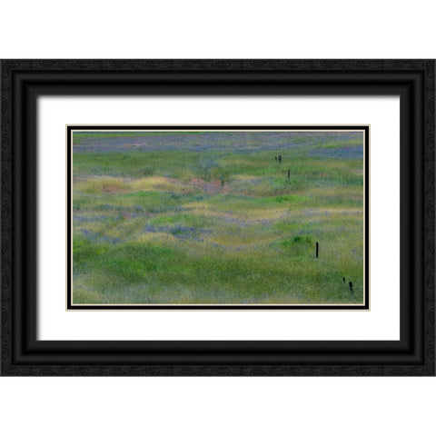 USA-Washington State-Benge Purple vetch in field Black Ornate Wood Framed Art Print with Double Matting by Gulin, Sylvia