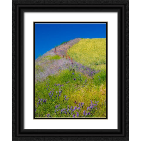 USA-Washington State-Winona winter wheat with fence line and foreground of vetch Black Ornate Wood Framed Art Print with Double Matting by Gulin, Sylvia