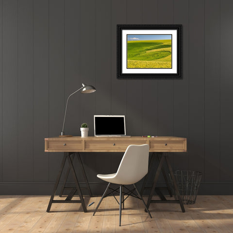 USA-Washington State-Palouse canola field with near Colfax Black Ornate Wood Framed Art Print with Double Matting by Gulin, Sylvia
