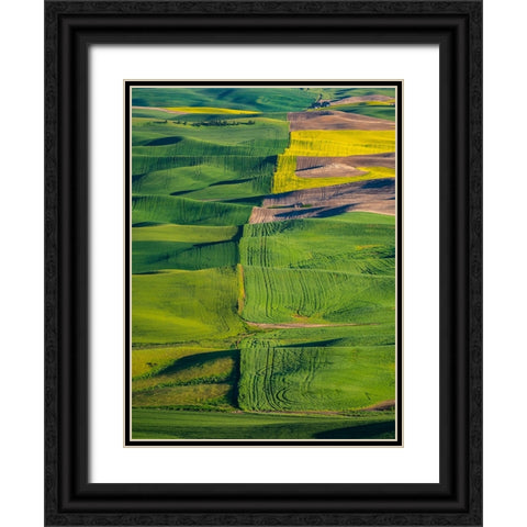 USA-Washington State-Palouse and Steptoe Butte State Park view of Wheat and Canola Black Ornate Wood Framed Art Print with Double Matting by Gulin, Sylvia