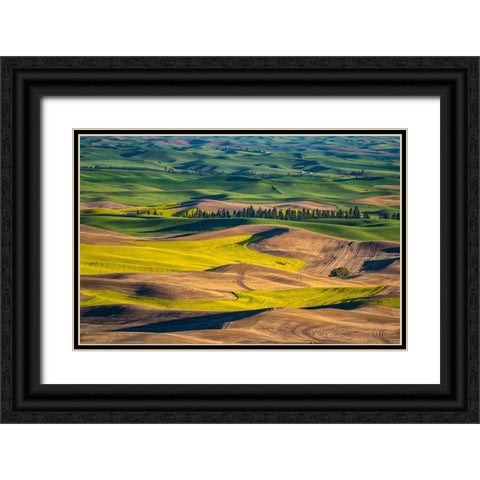 USA-Washington State-Palouse and Steptoe Butte State Park view of Wheat and Canola Black Ornate Wood Framed Art Print with Double Matting by Gulin, Sylvia