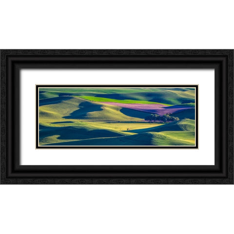 USA-Washington State-Palouse and Steptoe Butte State Park view of Wheat and Canola Black Ornate Wood Framed Art Print with Double Matting by Gulin, Sylvia