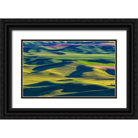 USA-Washington State-Palouse and Steptoe Butte State Park view of Wheat and Canola Black Ornate Wood Framed Art Print with Double Matting by Gulin, Sylvia
