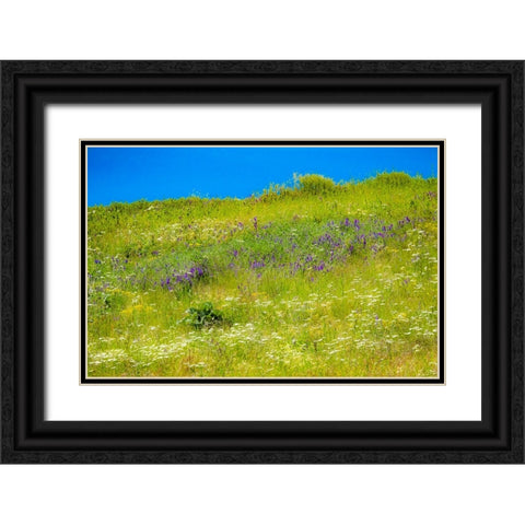 USA-Washington State-Palouse grass fields that were not being farmed Black Ornate Wood Framed Art Print with Double Matting by Gulin, Sylvia