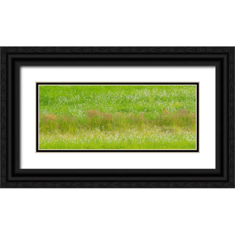 USA-Washington State-Palouse grass fields that were not being farmed Black Ornate Wood Framed Art Print with Double Matting by Gulin, Sylvia