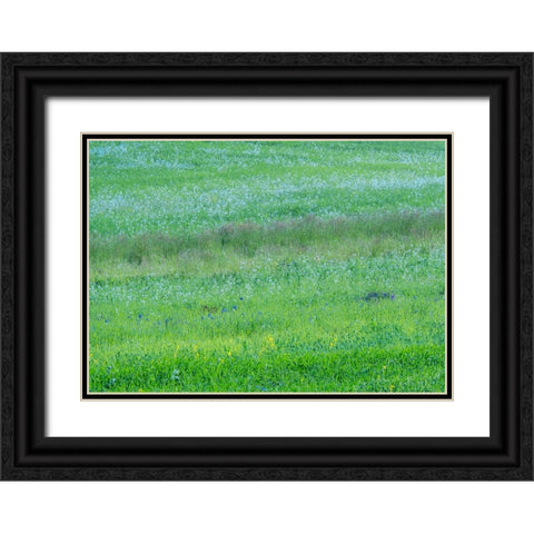 USA-Washington State-Palouse grass fields that were not being farmed Black Ornate Wood Framed Art Print with Double Matting by Gulin, Sylvia