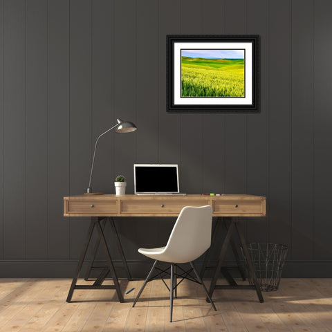 USA-Washington State-Palouse overview of wheat fields from above Black Ornate Wood Framed Art Print with Double Matting by Gulin, Sylvia