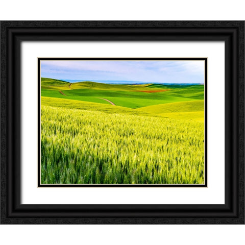 USA-Washington State-Palouse overview of wheat fields from above Black Ornate Wood Framed Art Print with Double Matting by Gulin, Sylvia