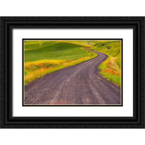 USA-Washington State-Palouse with gravel curved road edged with Poppies and Yellow Canola Black Ornate Wood Framed Art Print with Double Matting by Gulin, Sylvia