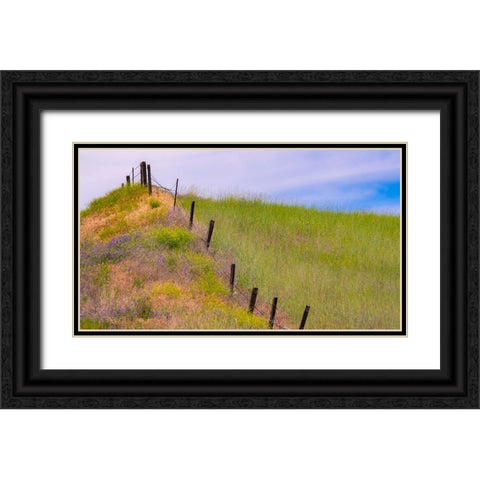 USA-Washington State-Palouse fence line near Winona with vetch and grasses Black Ornate Wood Framed Art Print with Double Matting by Gulin, Sylvia