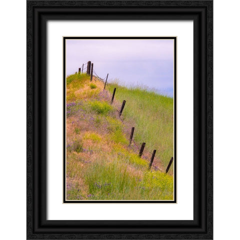 USA-Washington State-Palouse fence line near Winona with vetch and grasses Black Ornate Wood Framed Art Print with Double Matting by Gulin, Sylvia
