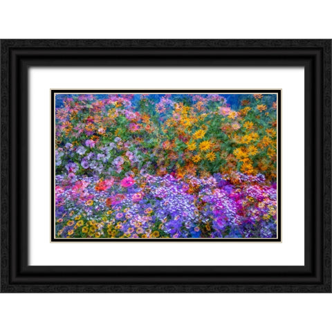 USA-Washington State-Pacific Northwest-Sammamish colorful flowers and blue picket fence Black Ornate Wood Framed Art Print with Double Matting by Gulin, Sylvia