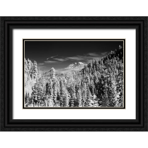 USA-Washington State-Mt-Rainier viewed from the South Black Ornate Wood Framed Art Print with Double Matting by Eggers, Terry