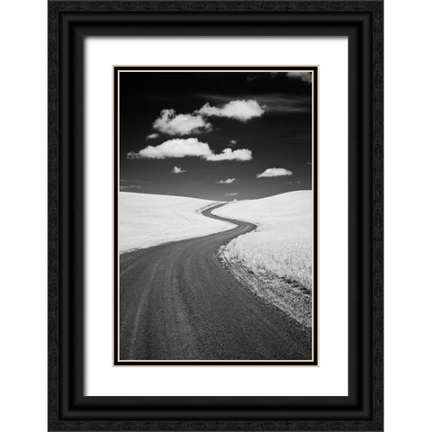 USA-Palouse Country-Washington State-Infrared Palouse fields and backroad Black Ornate Wood Framed Art Print with Double Matting by Eggers, Terry