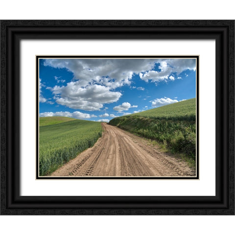 USA-Washington State-Palouse-Country Backroad through Spring wheat fields Black Ornate Wood Framed Art Print with Double Matting by Eggers, Terry