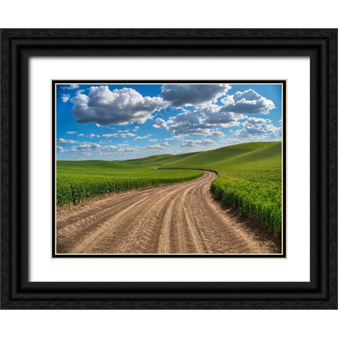 USA-Washington State-Palouse-Country Backroad through Spring wheat fields Black Ornate Wood Framed Art Print with Double Matting by Eggers, Terry