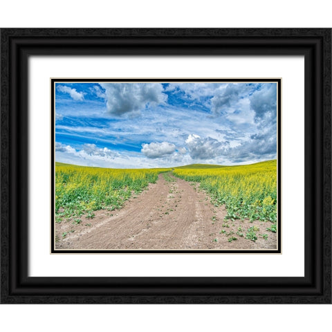USA-Washington State-Palouse-Country Backroad through Spring canola fields Black Ornate Wood Framed Art Print with Double Matting by Eggers, Terry