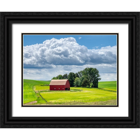 USA-Washington State-Palouse-Old Red barn with fresh green fields Black Ornate Wood Framed Art Print with Double Matting by Eggers, Terry