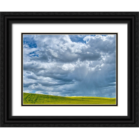 USA-Washington State-Palouse-Spring canola field with beautiful clouds Black Ornate Wood Framed Art Print with Double Matting by Eggers, Terry