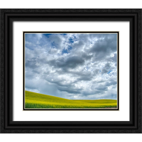USA-Washington State-Palouse-Spring canola field with beautiful clouds Black Ornate Wood Framed Art Print with Double Matting by Eggers, Terry