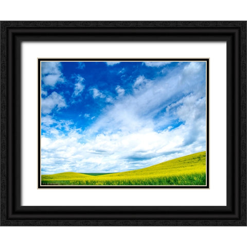 USA-Washington State-Palouse-Spring canola field with beautiful clouds Black Ornate Wood Framed Art Print with Double Matting by Eggers, Terry