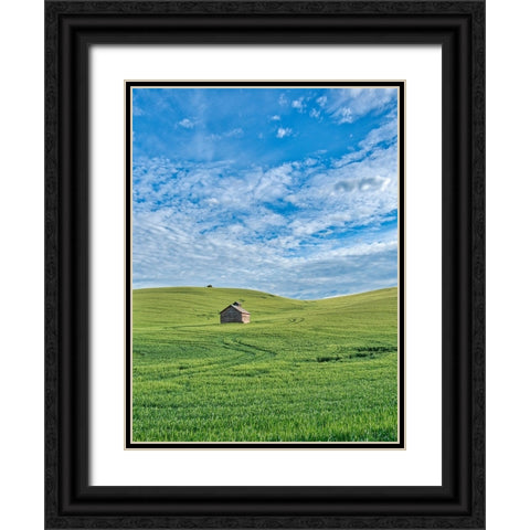 USA-Washington State-Small barn and tracks in wheat field Black Ornate Wood Framed Art Print with Double Matting by Eggers, Terry
