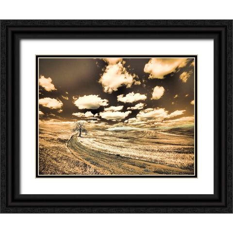 USA-Washington State-Palouse-Country backroad with lone tree Black Ornate Wood Framed Art Print with Double Matting by Eggers, Terry