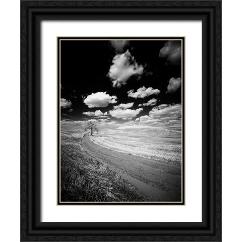 USA-Washington State-Palouse-Crops growing on the rolling hills of the Palouse Black Ornate Wood Framed Art Print with Double Matting by Eggers, Terry
