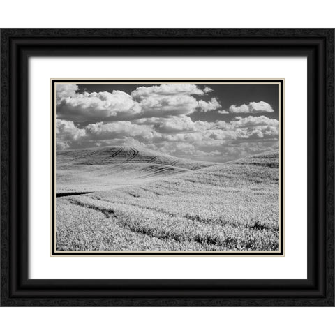 USA-Washington State-Palouse-Crops growing on the rolling hills of the Palouse Black Ornate Wood Framed Art Print with Double Matting by Eggers, Terry