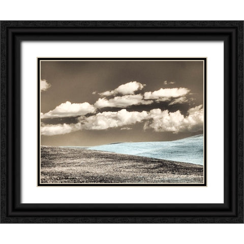 USA-Washington State-Palouse-Crops growing on the rolling hills of the Palouse Black Ornate Wood Framed Art Print with Double Matting by Eggers, Terry