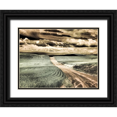 USA-Washington State-Palouse-Country backroad through spring crops Black Ornate Wood Framed Art Print with Double Matting by Eggers, Terry