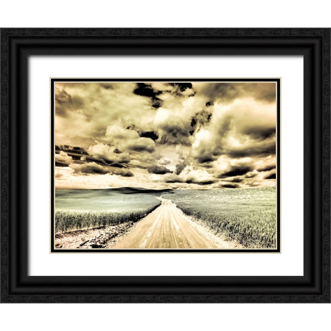 USA-Washington State-Palouse-Country backroad through spring crops Black Ornate Wood Framed Art Print with Double Matting by Eggers, Terry