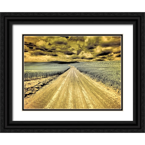 USA-Washington State-Palouse-Country backroad through spring crops Black Ornate Wood Framed Art Print with Double Matting by Eggers, Terry