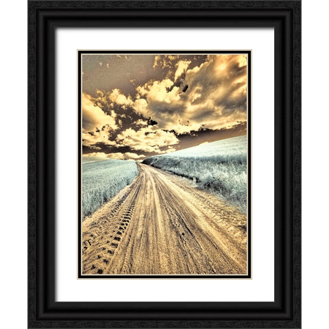 USA-Washington State-Palouse-Country backroad through spring crops Black Ornate Wood Framed Art Print with Double Matting by Eggers, Terry