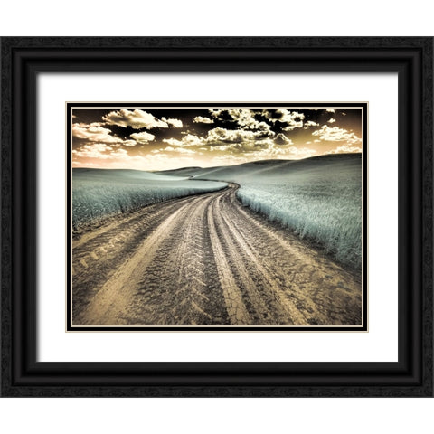 USA-Washington State-Palouse-Country backroad through spring crops Black Ornate Wood Framed Art Print with Double Matting by Eggers, Terry