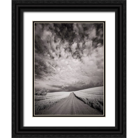 USA-Washington State-Palouse-Backcountry road through wheat field and clouds Black Ornate Wood Framed Art Print with Double Matting by Eggers, Terry