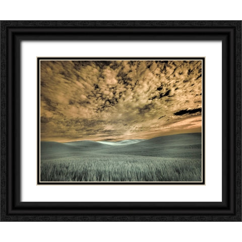USA-Washington State-Palouse-wheat field and clouds Black Ornate Wood Framed Art Print with Double Matting by Eggers, Terry