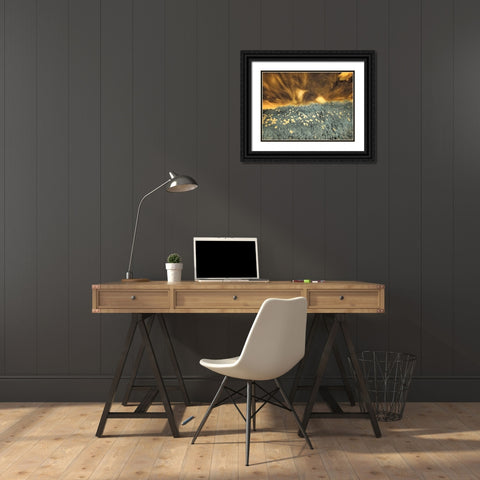 USA-Washington State-Palouse-Spring Poppies and Backcountry road through wheat field and clouds Black Ornate Wood Framed Art Print with Double Matting by Eggers, Terry