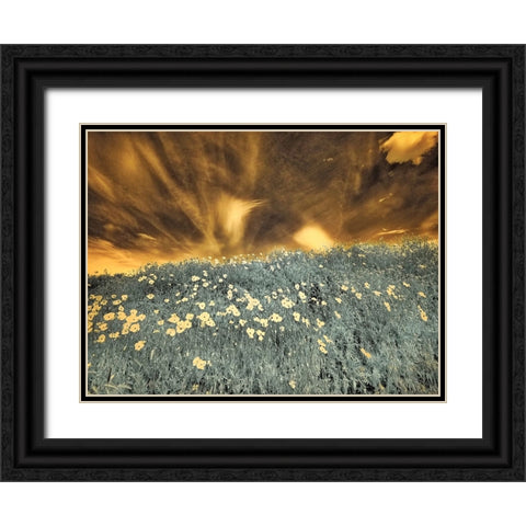 USA-Washington State-Palouse-Spring Poppies and Backcountry road through wheat field and clouds Black Ornate Wood Framed Art Print with Double Matting by Eggers, Terry