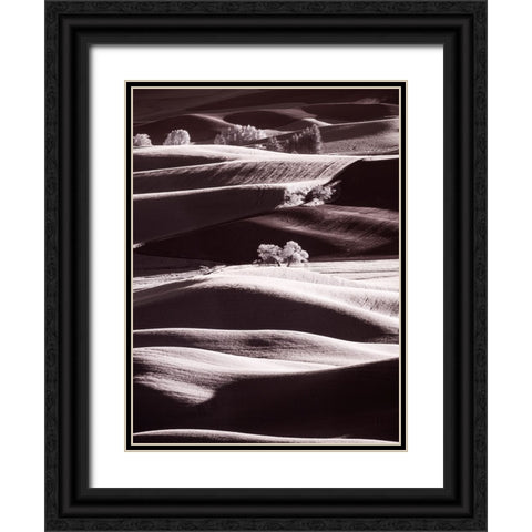 USA-Washington State-Palouse region-Rolling hills at Sunset Black Ornate Wood Framed Art Print with Double Matting by Eggers, Terry