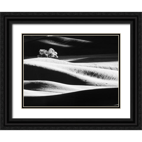 USA-Washington State-Palouse region-Lone tree in Field Black Ornate Wood Framed Art Print with Double Matting by Eggers, Terry