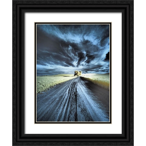 USA-Washington State-Palouse region-Backcountry road leading to Lone Tree Black Ornate Wood Framed Art Print with Double Matting by Eggers, Terry