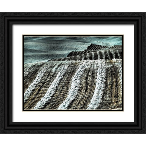 USA-Washington State-Palouse region-Harvest cut lines in Field Black Ornate Wood Framed Art Print with Double Matting by Eggers, Terry