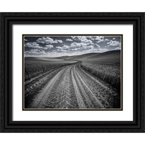 USA-Washington State-Palouse-Country backroad through spring crops Black Ornate Wood Framed Art Print with Double Matting by Eggers, Terry